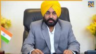 Punjab Chief Minister Bhagwant Mann Cabinet DA Hike 8 Percent Announcement