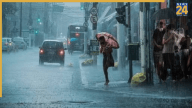 राजस्थान में बदला मौसम, दो दर्जन जिलों में मूसलाधार बारिश; जानिए- अगले 7 दिन कैसा रहेगा मौसम
