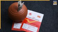 National Savings Certificate and Post Office Time Deposit Investment Concept