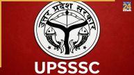 UPSSSC Forest Guard Exam City Slip Out