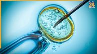IVF For Couple