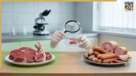 Does Processed Meat Cause