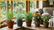 plants to keep mosquitoes away from house