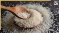 Real Vs Fake Rice