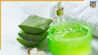 Hair Fall Shampoo