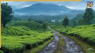 Munnar Best Places