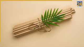 World Bamboo Day: बांस को ‘ग्रीन गोल्ड’ क्यों कहा जाता है? इसके इन इस्तेमालों के बारे में नहीं जानते होंगे आप