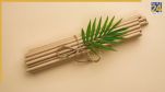 different uses of bamboo plant