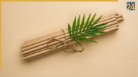 different uses of bamboo plant