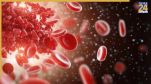 Hemoglobin Level Increase