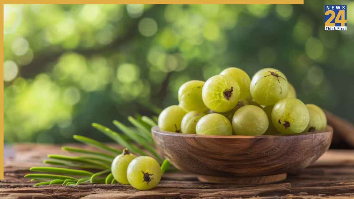 आंवला जूस, फल या पाउडर? बदलते मौसम में सेहत के लिए कौन-सा है ज्यादा फायदेमंद