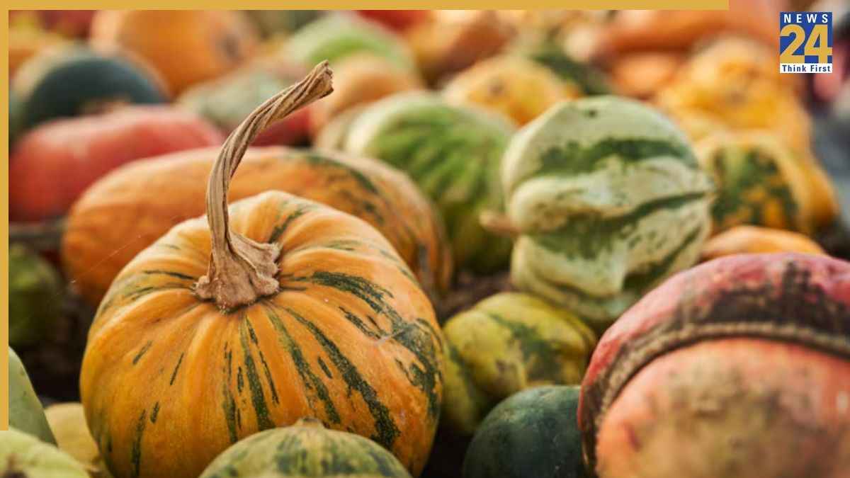 different uses of pumpkin seeds in kitchen