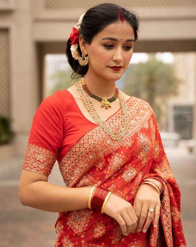 एम्बलिश्ड बनारसी साड़ी 