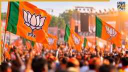 UP MLC Chunav Results: जयंत के गढ़ पश्चिमी यूपी में BJP सुपरहिट, सहयोगी दल कहां-कहां बेअसर हुए साबित