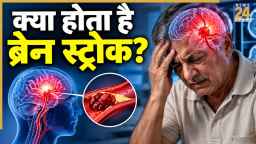 हाई बीपी से लेकर डायबिटीज तक, ये बीमारियां बढ़ा सकती हैं स्ट्रोक का खतरा