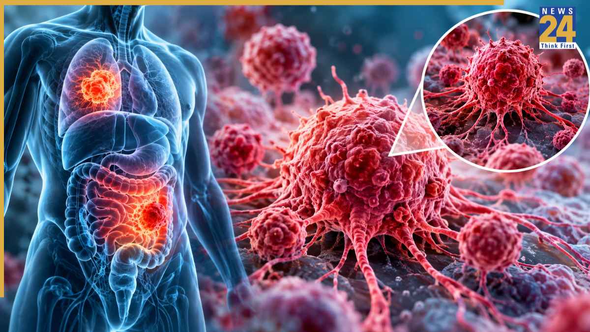 Cancer Risk Factors: कैंसर का खतरा बढ़ाने वाली 5 आम आदतें, अनजाने में रोज कर रहे हैं ये गलतियां तो संभल जाएं