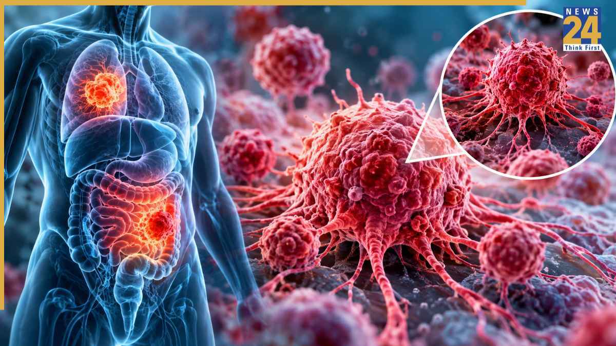 Cancer Risk Factors Habits