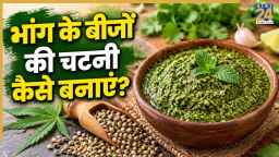 नशा नहीं, पोषण का खजाना है भांग के बीजों की चटनी! जानें इसे बनाने का तरीका