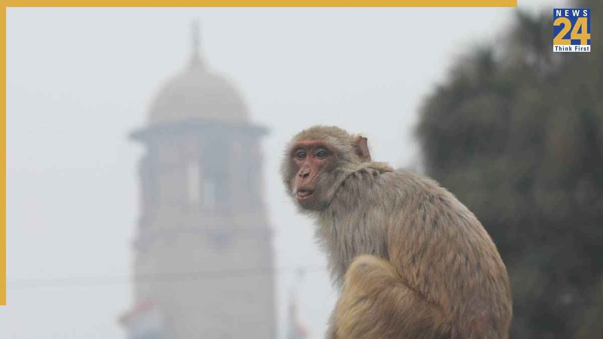 Coldest Day | Delhi NCR | Weather Forecast