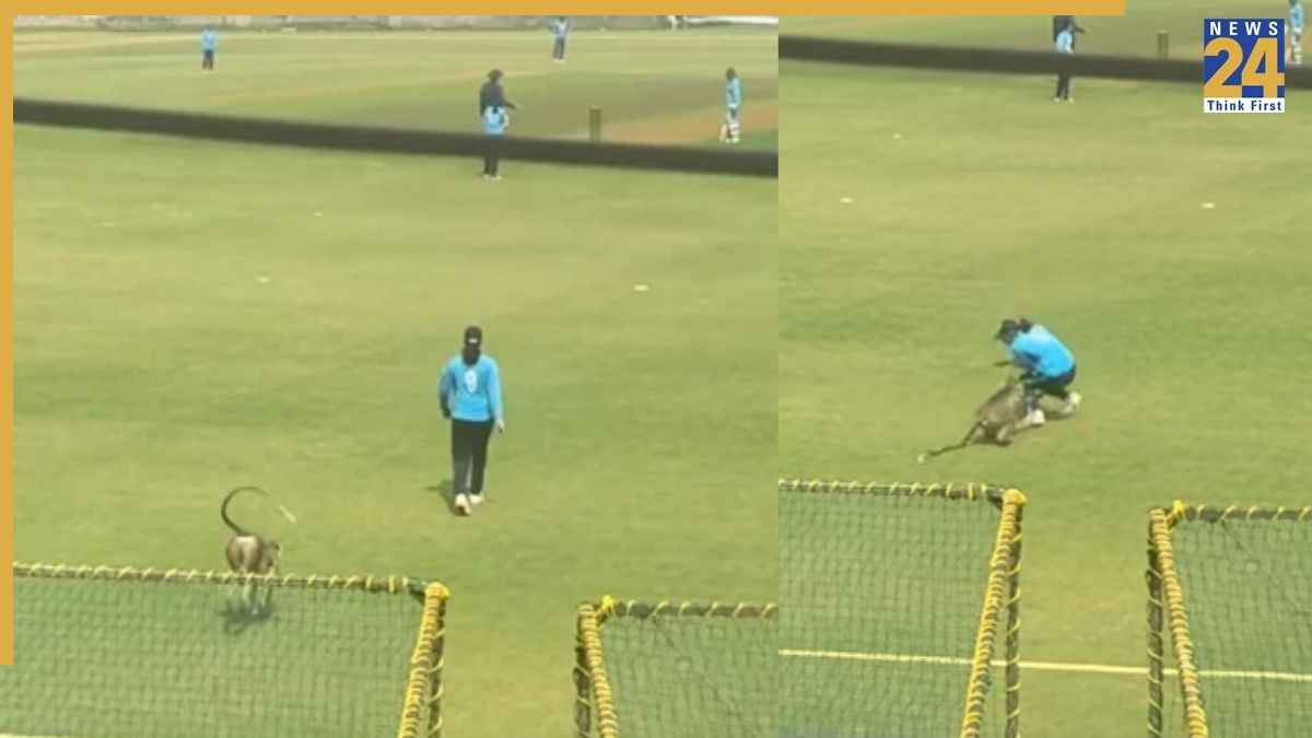 Monkey attacks star player Uma Kashvi/ Image Source: Screengrab/ Viral Video