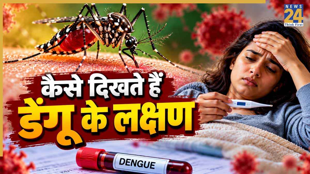 dengue Fever symptoms
