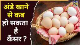 क्या अंडा खाने से बढ़ता है कैंसर का खतरा? डॉक्टर से जानिए सच