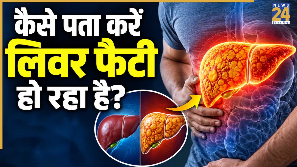 लिवर में जमा हो रही है चर्बी? डॉक्टर ने बताया किन टेस्ट से चल जाएगा तुरंत पता