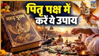 पितृ पक्ष में करें गाय वाला उपाय, गरुड़ पुराण में बताया गया है महत्व