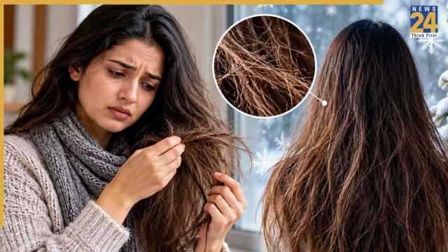 सर्दियों में रूखे और बेजान हो जाते हैं बाल? अभी से अपनाएं ये आसान टिप्स, Hair Fall और फ्रिजीनेस से भी मिल सकेगी राहत