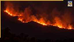 आग की चपेट में अरावली की पहाड़ियां, अलवर में 3 KM दूर तक पहुंचीं लपटें