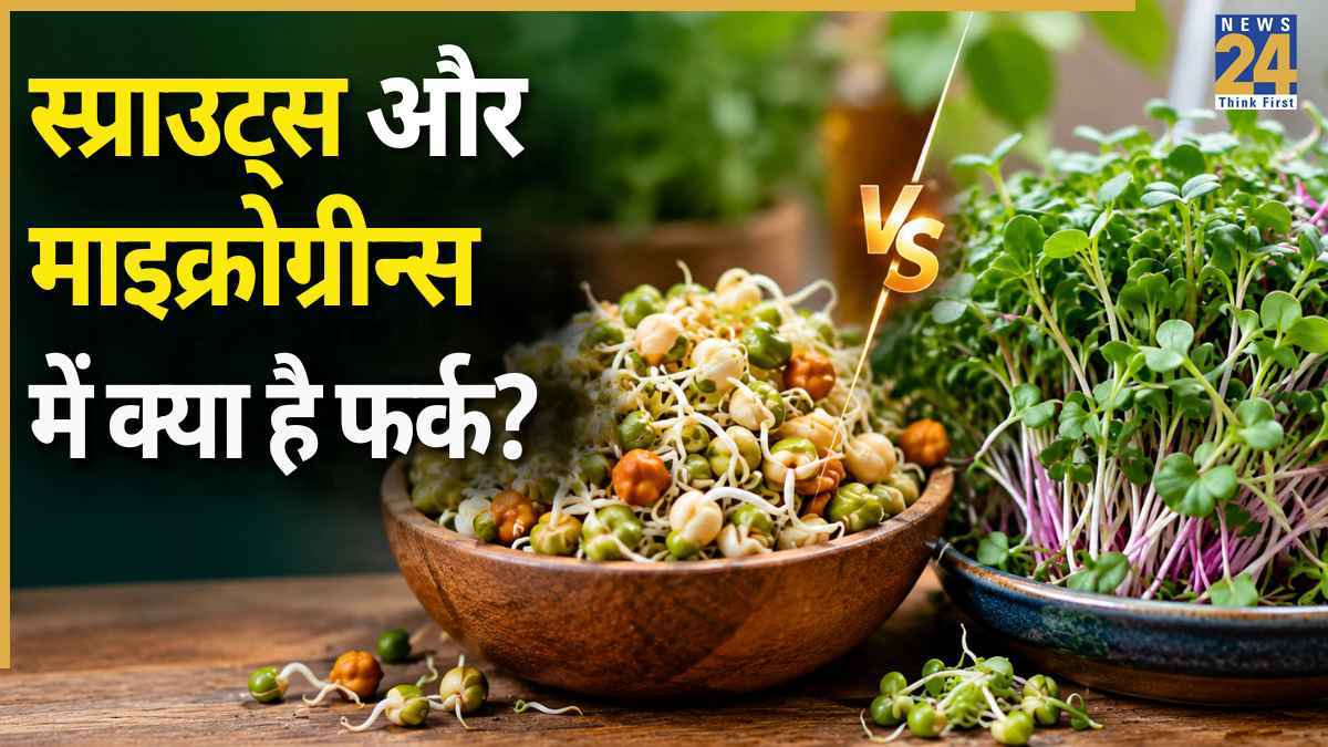 Sprouts vs Microgreens: स्प्राउट्स और माइक्रोग्रीन्स में क्या है अंतर? यहां जानिए कितने दिन में हो सकते हैं तैयार