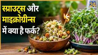 स्प्राउट्स और माइक्रोग्रीन्स में क्या है अंतर? कितने दिन में होते हैं तैयार