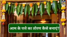 आम के पत्तों से कैसे बनाएं तोरण? घर सजाने के लिए अपनाएं ये टिप्स