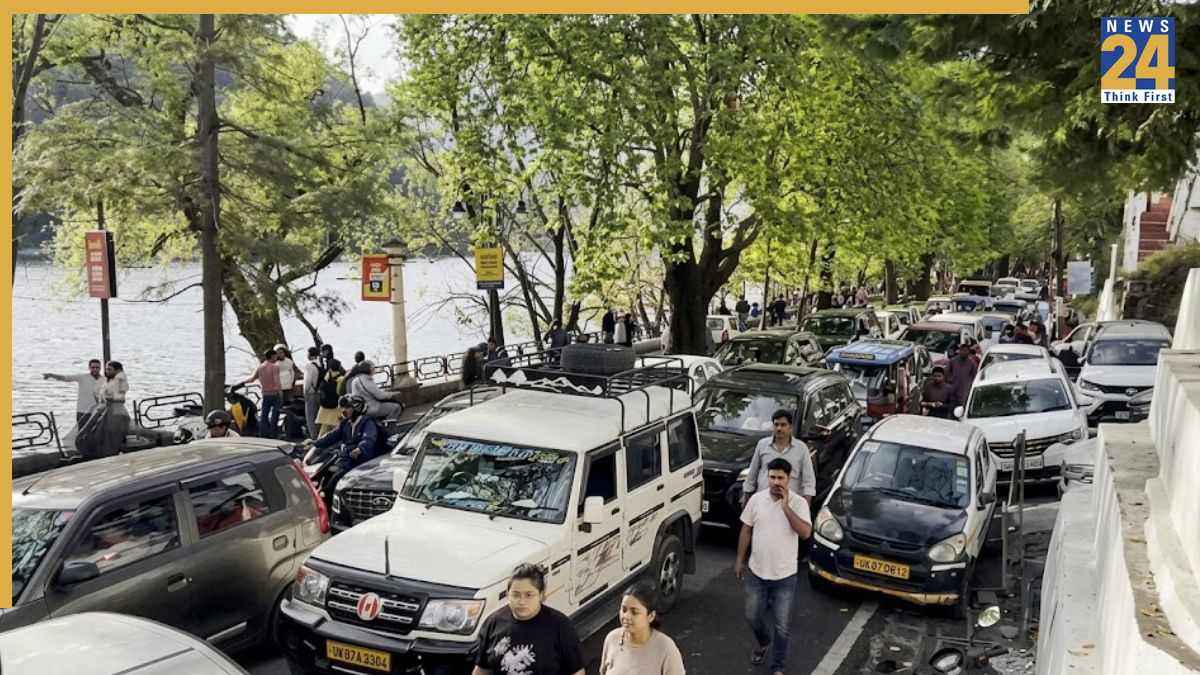 Nanital ANI