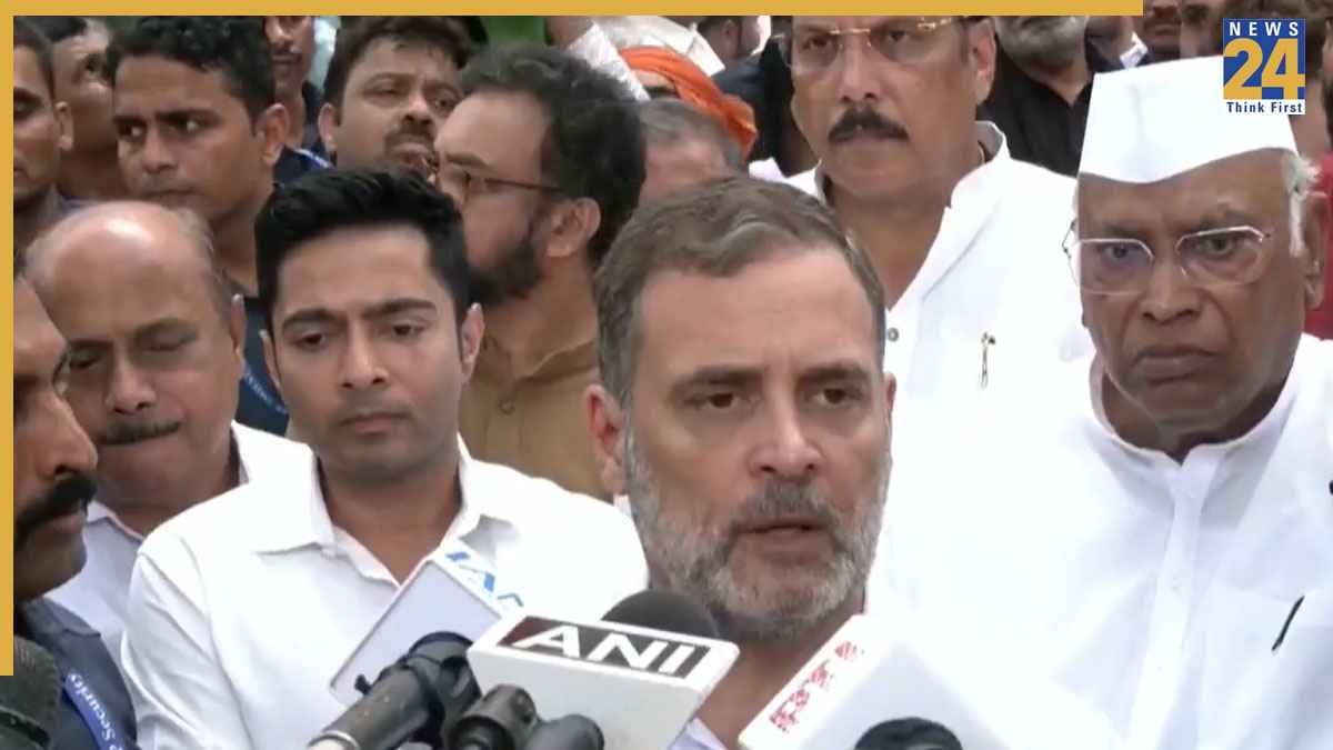 Rahul Gandhi, BJP, peaceful protest, democracy