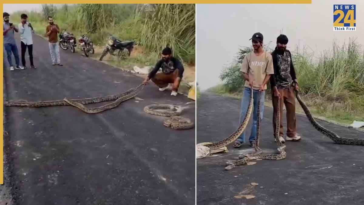 विशाल अजगर के साथ कर रहे थे खतरनाक स्टंट, VIDEO वायरल; अब ढूंढ़ रही पुलिस