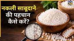 पानी में डालते ही पता चल जाएगा साबूदाना असली है या नकली? जानिए आसान तरीका