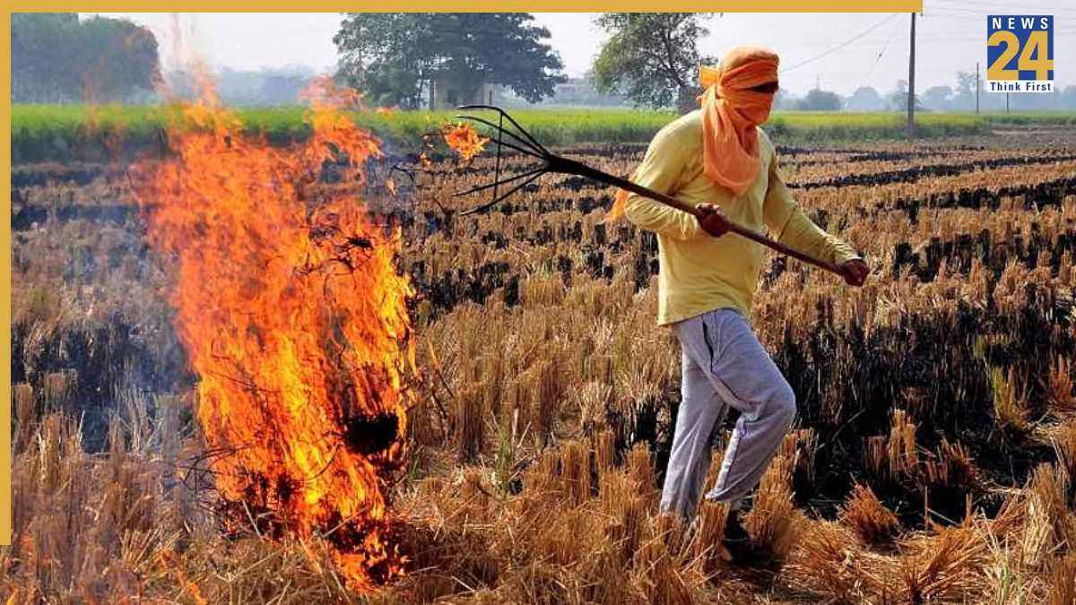 Stubble Burning PTI 2