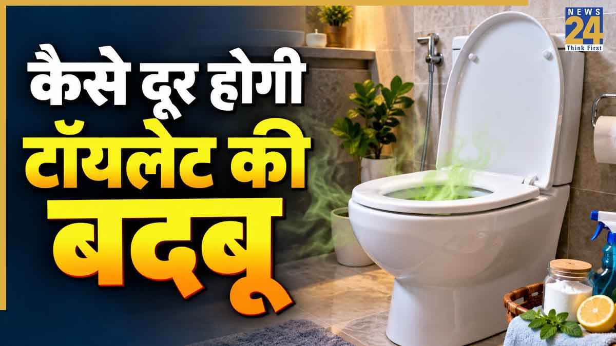 Toilet Smell Removal
