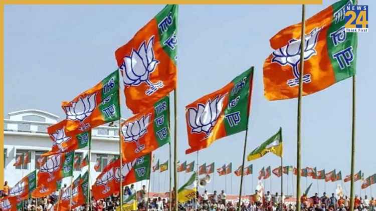 यूपी में 10 राज्यसभा सांसद निर्वाचित, BJP के 8 और सपा के 2 MP निर्विरोध जीते; भाजपा में जश्न का माहौल