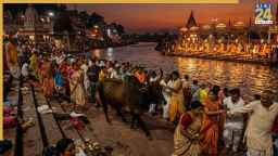 हरिद्वार में गंगा आरती के दौरान भीड़ में घुसा सांड, श्रद्धालुओं में मची अफरा-तफरी; VIDEO वायरल