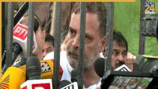 LIVE: 'CEC से मिलकर रहेंगे सांसद...' 5 घंटे से धरने पर राहुल गांधी