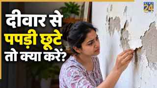 उखड़ने लगी है दीवारों की पपड़ी तो ऐसे करें फिक्स, बिना मिस्त्री बनेगा काम