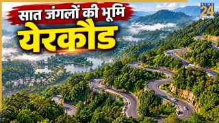 ऊटी के लिए कम है बजट तो घूम आइए येरकौड, तमिलनाडु का खूबसूरत हिल स्टेशन