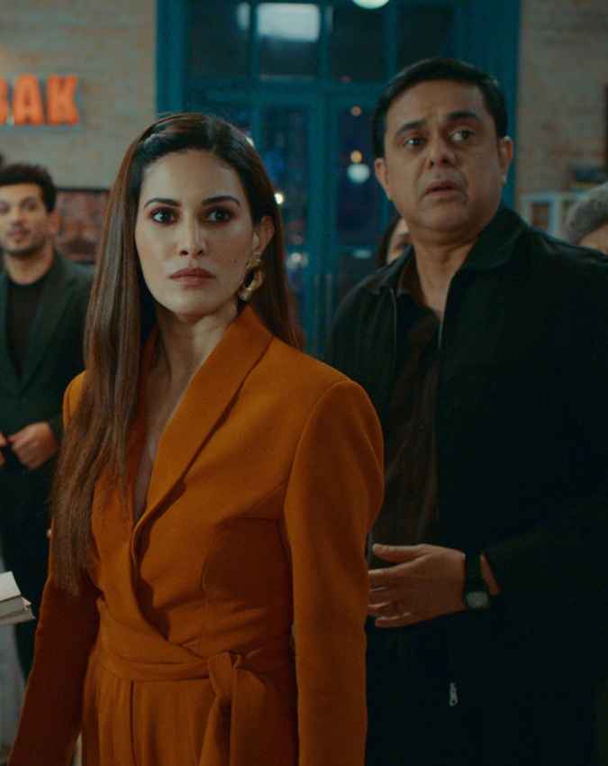 सीरीज की स्टारकास्ट
