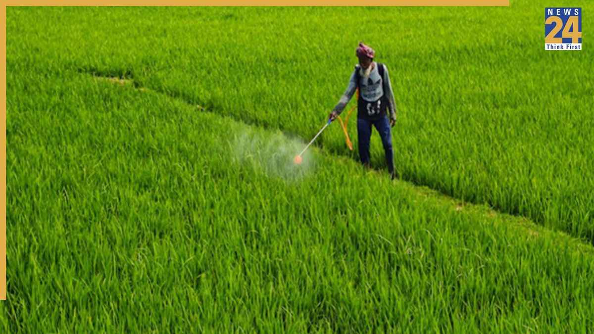 Bihar Dhan Kharid 2026-27 Dates, MSP Rate, esahkari portal registration and Chatra disease control tips in Hindi.