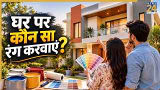 दीवाली से पहले घर को करा रहे हैं पेंट तो ये 7 रंग चुन सकते हैं आप