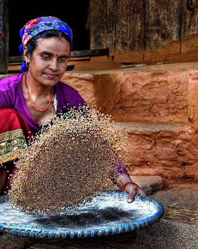 सबसे पहले कुट्टू के दाने साफ करें