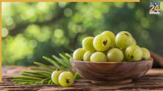 आंवला जूस, फल या पाउडर? बदलते मौसम में किसका सेवन करना रहेगा बेहतर